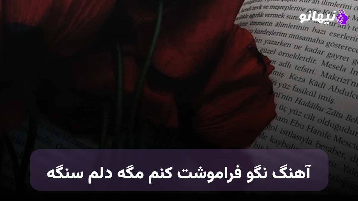 دانلود آهنگ نگو فراموشت کنم مگه دلم سنگه صدای زن